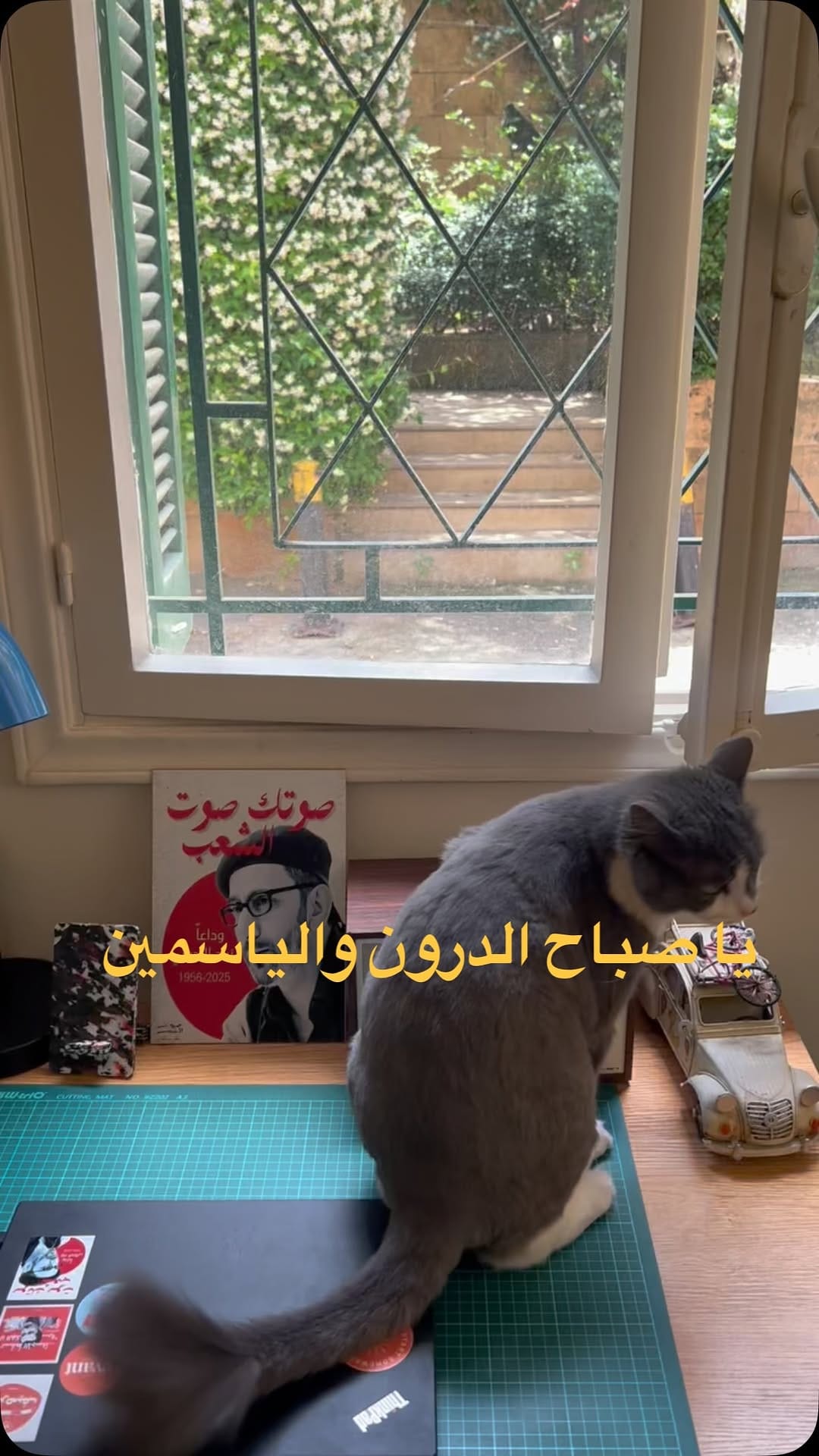Post 3 by Charbel Khoury on Instagram (video)