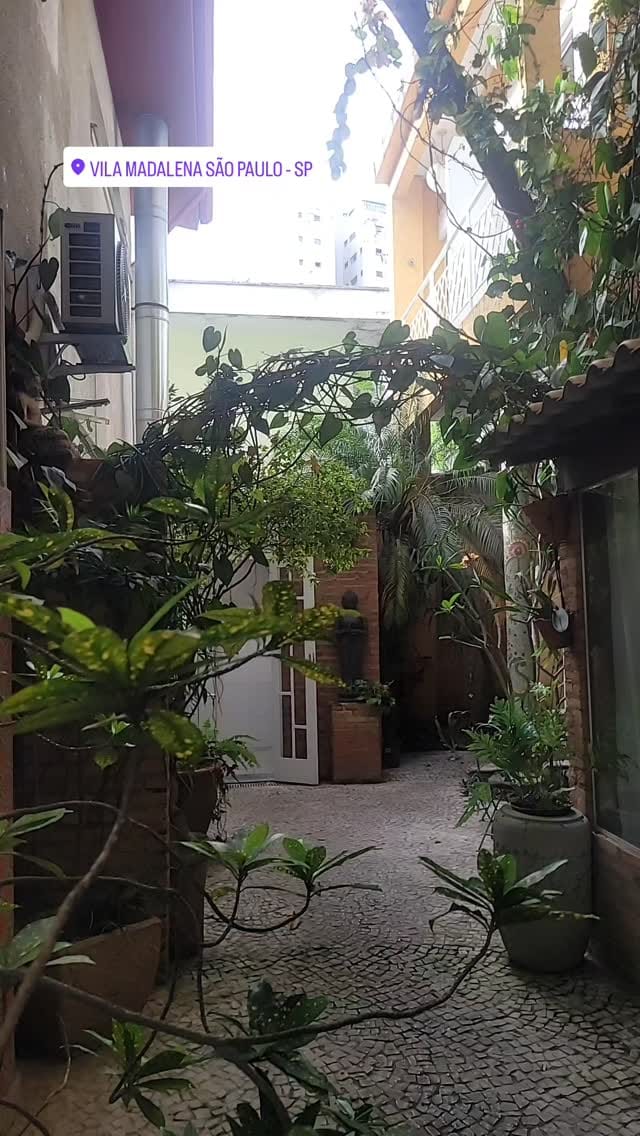 Post 7 by Léo Rehem on Instagram (video)