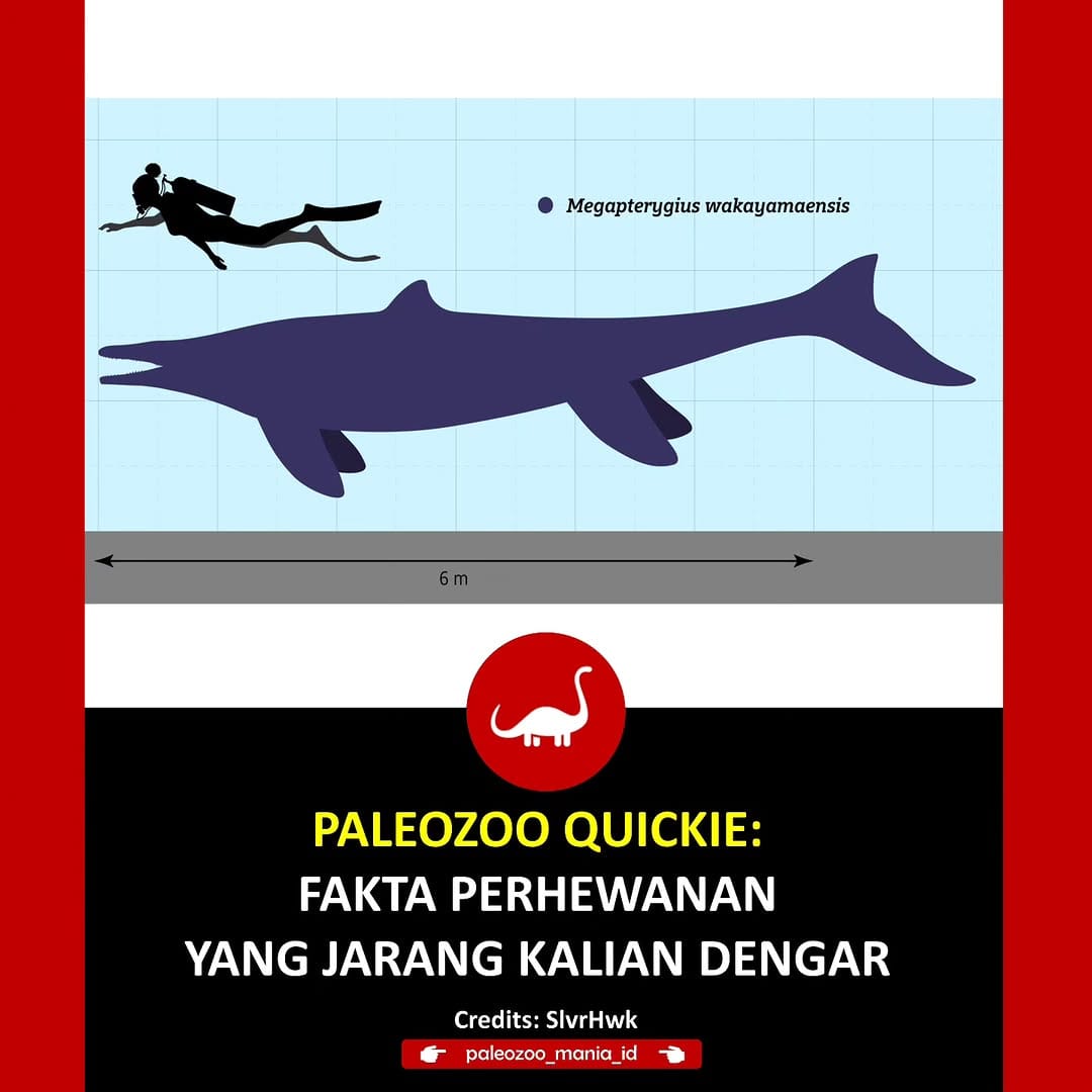 Post 6 by PaleoZoo Mania ID on Instagram (carousel)