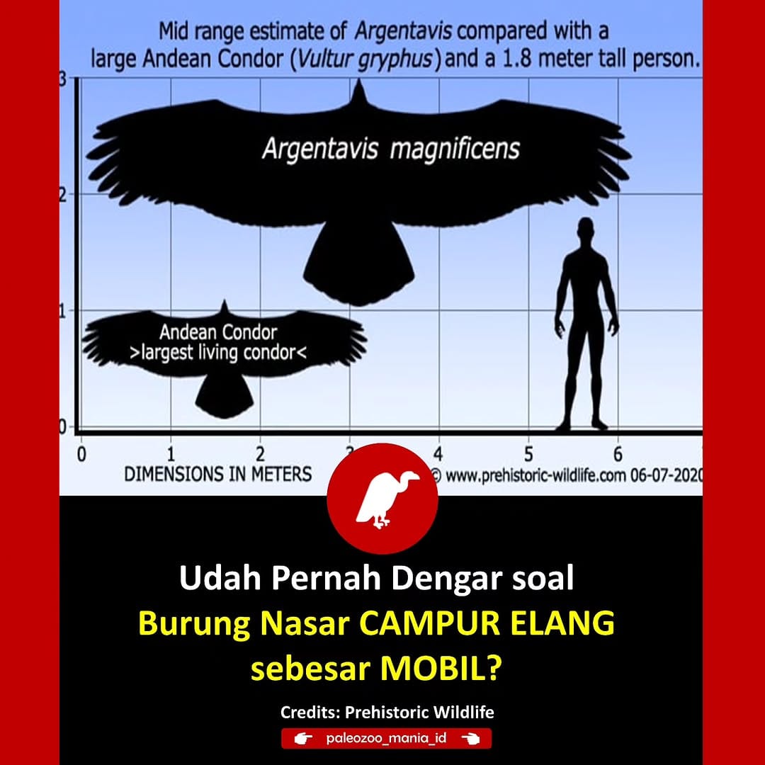 Post 1 by PaleoZoo Mania ID on Instagram (carousel)