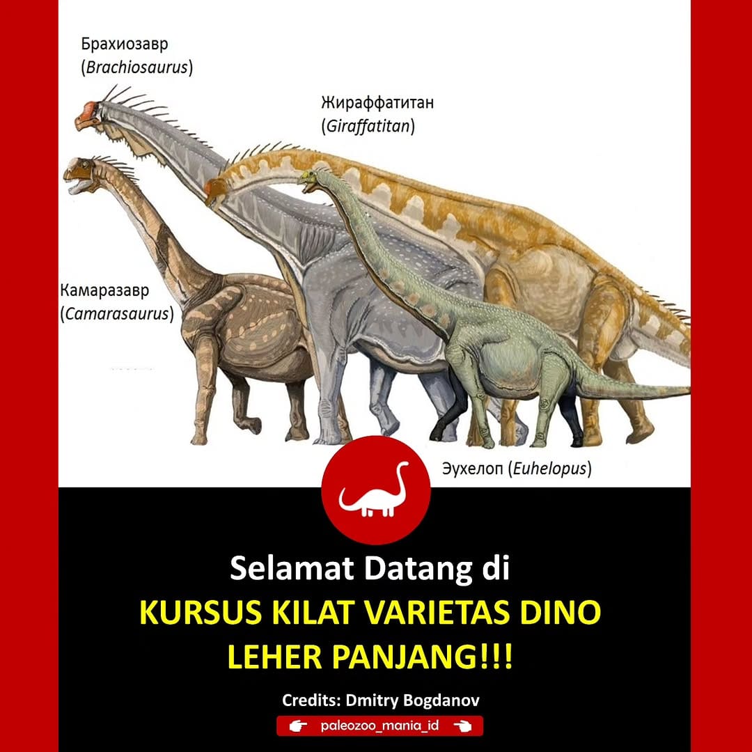 Post 3 by PaleoZoo Mania ID on Instagram (carousel)