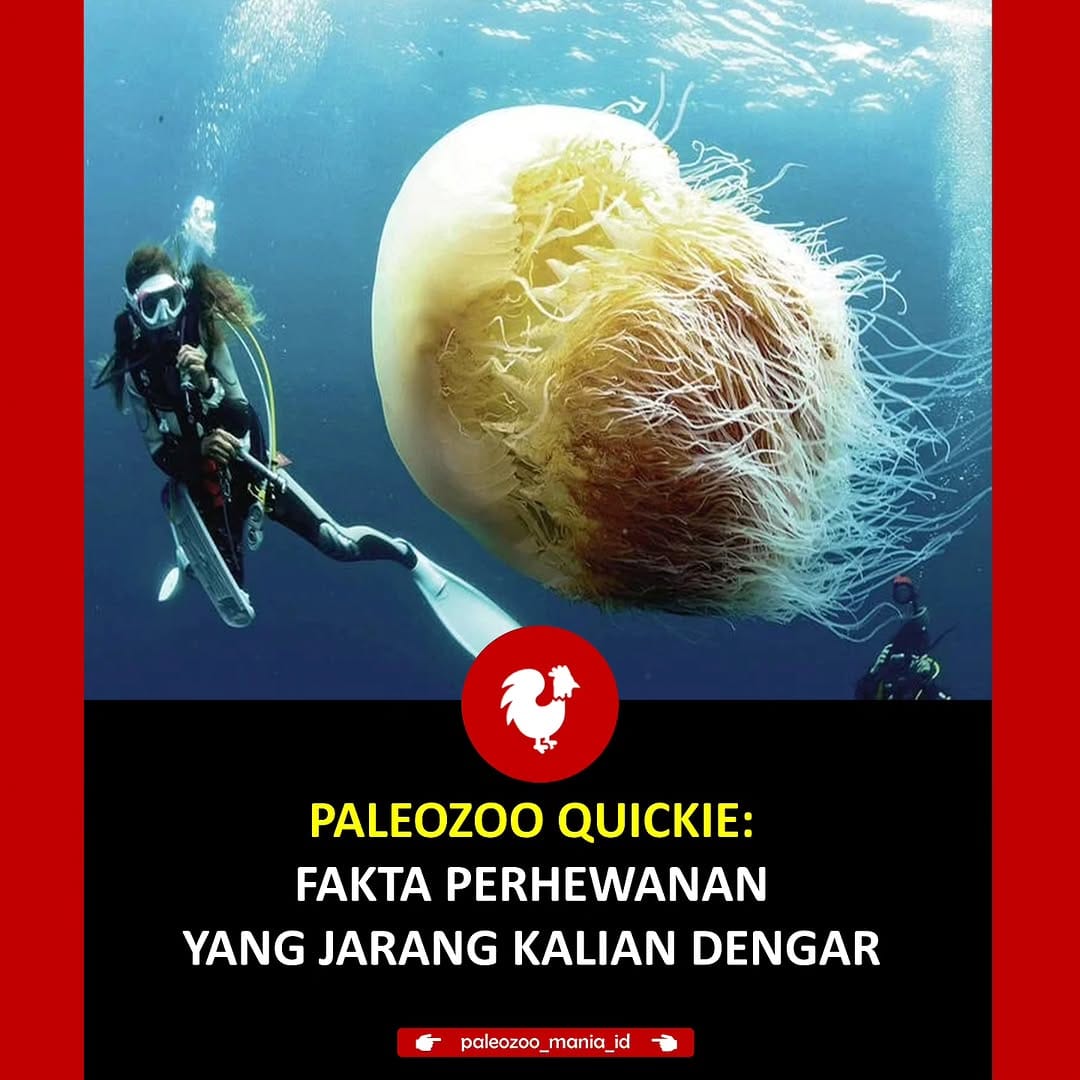 Post 2 by PaleoZoo Mania ID on Instagram (carousel)