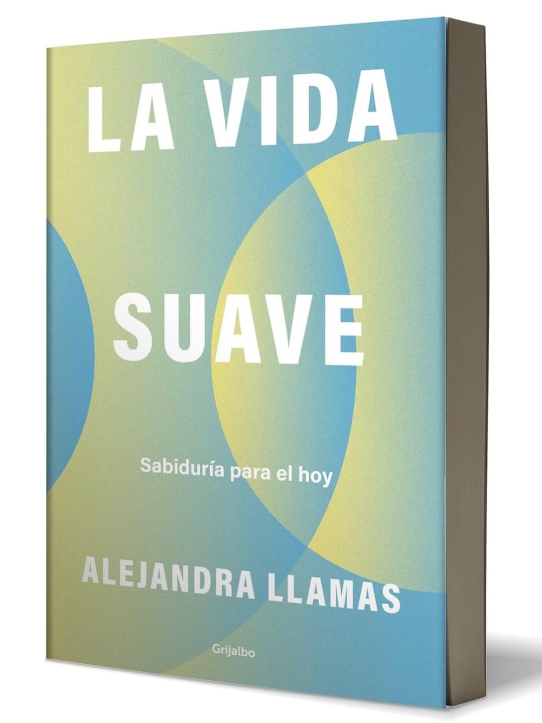 Post 8 by Alejandra Llamas on Instagram (image)