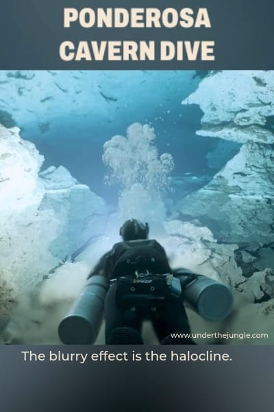 Post 3 by Under the Jungle | Cave Diving on Instagram (video)