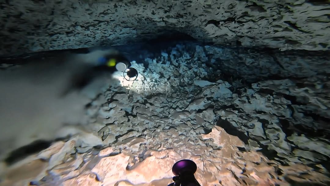 Post 6 by Under the Jungle | Cave Diving on Instagram (video)