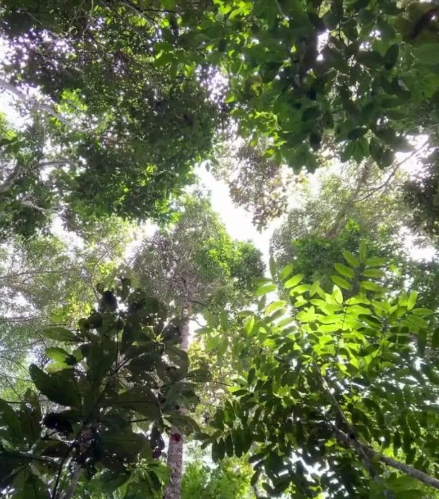 Post 6 by Yale Online on Instagram (video)