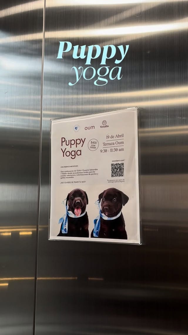 Post 10 by Vetalia Hospital Veterinario on Instagram (video)