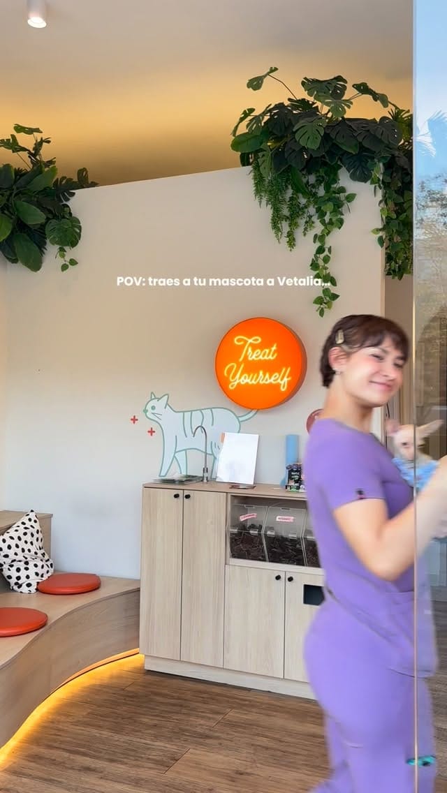 Post 3 by Vetalia Hospital Veterinario on Instagram (video)