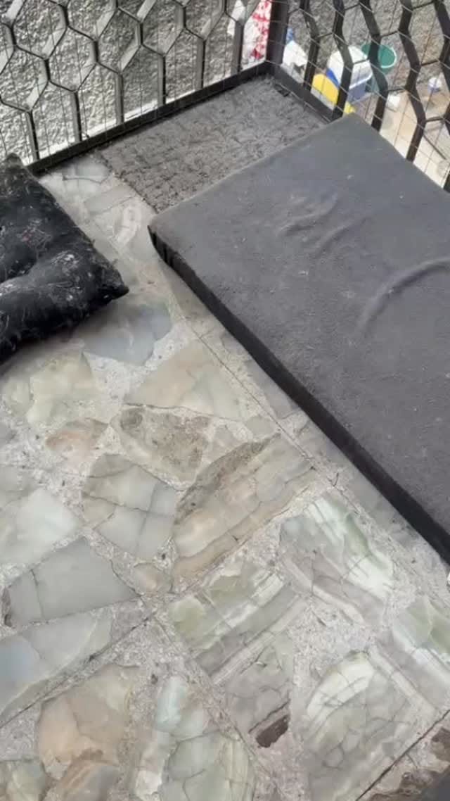 Post 4 by 31gatitos on Instagram (video)