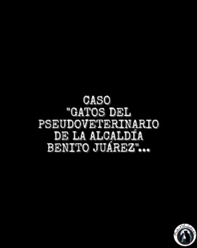 Post 7 by 31gatitos on Instagram (video)