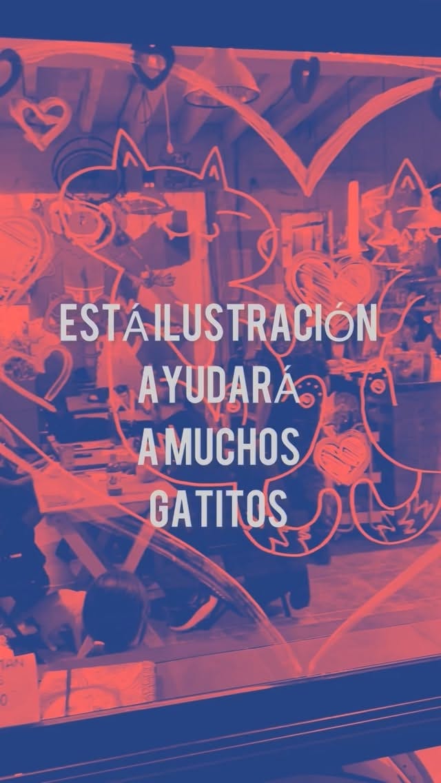 Post 8 by 31gatitos on Instagram (video)