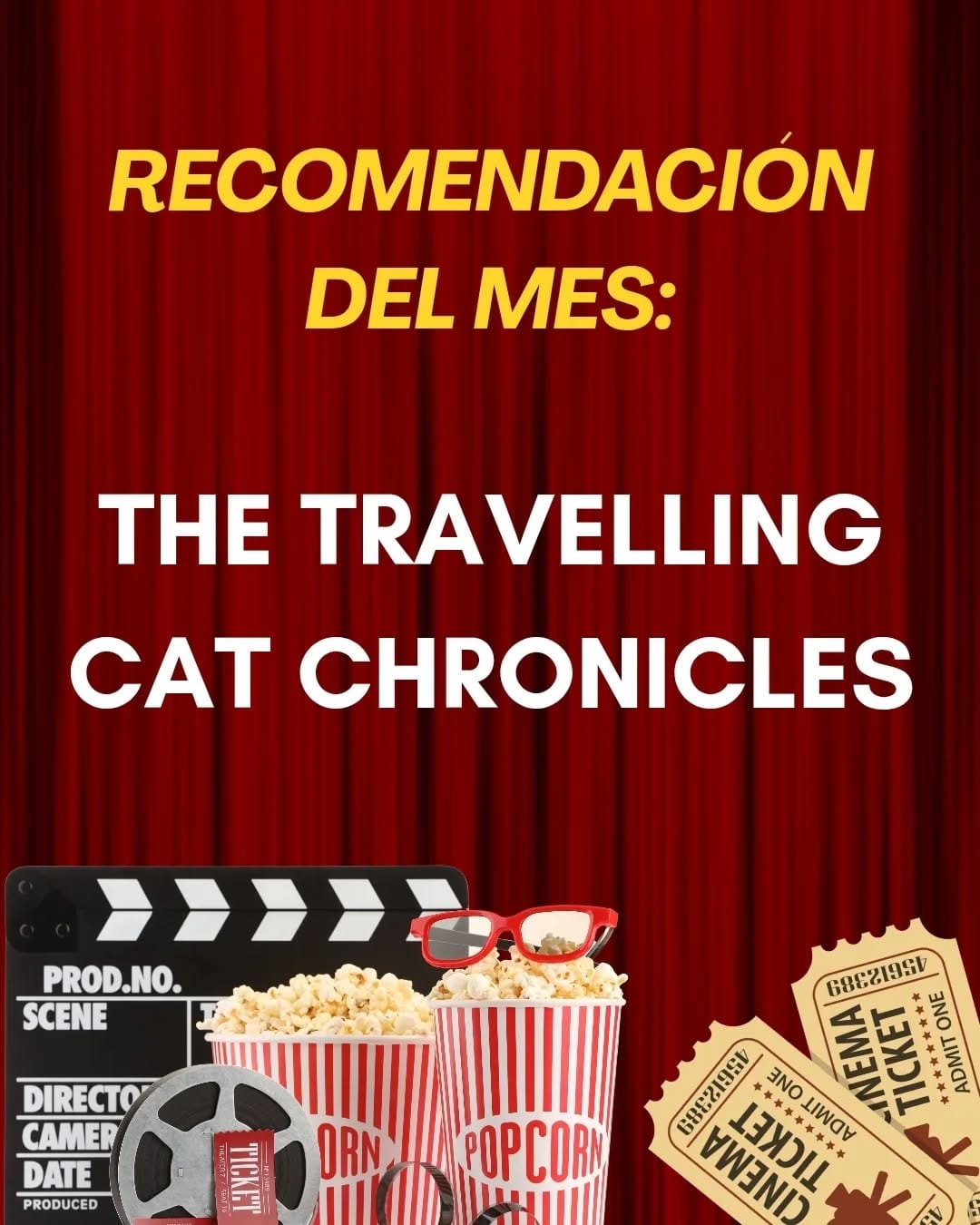 Post 5 by 31gatitos on Instagram (carousel)