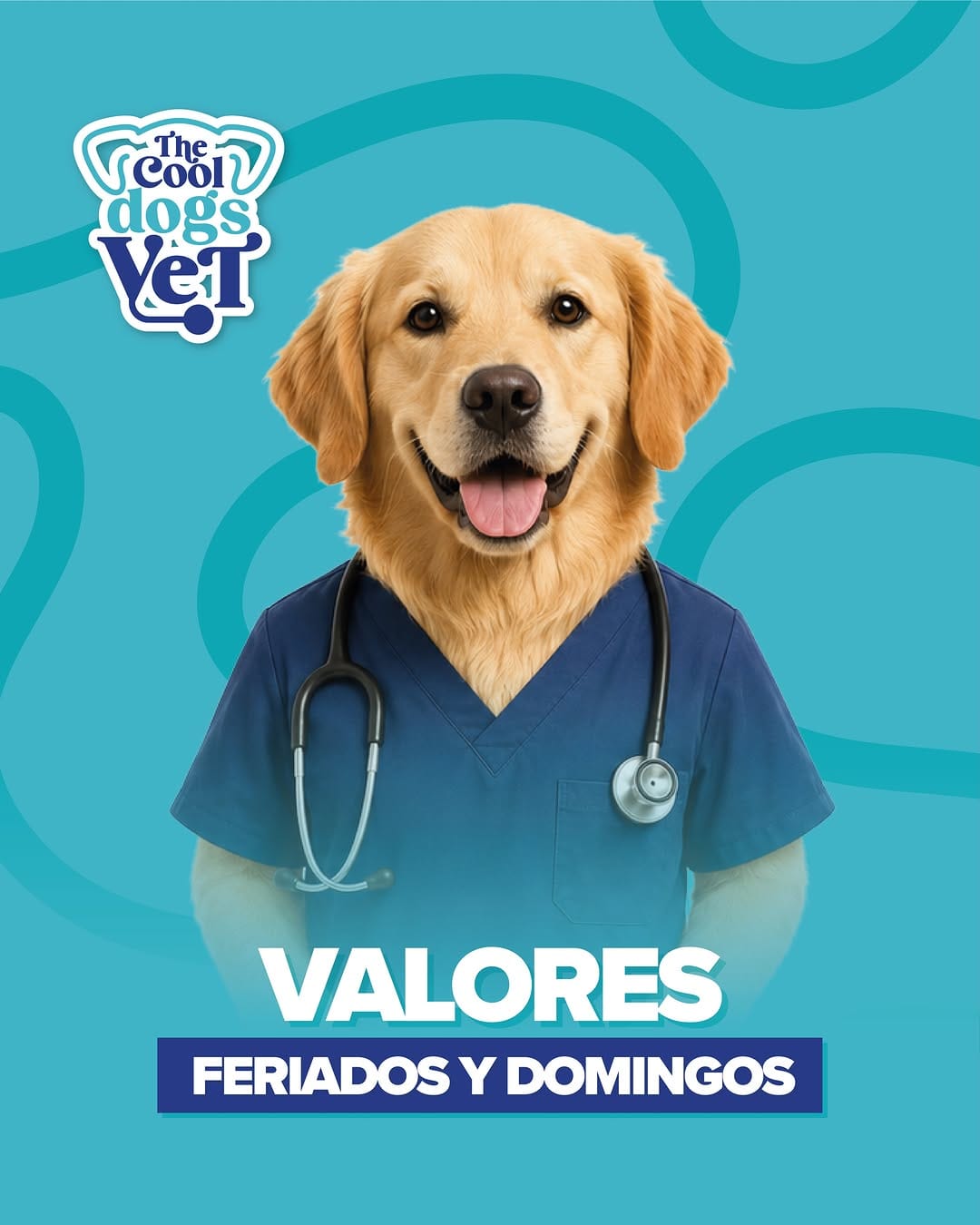 Post 10 by Clínica Veterinaria The Cool Dogs Vet | GuthiVet on Instagram (carousel)
