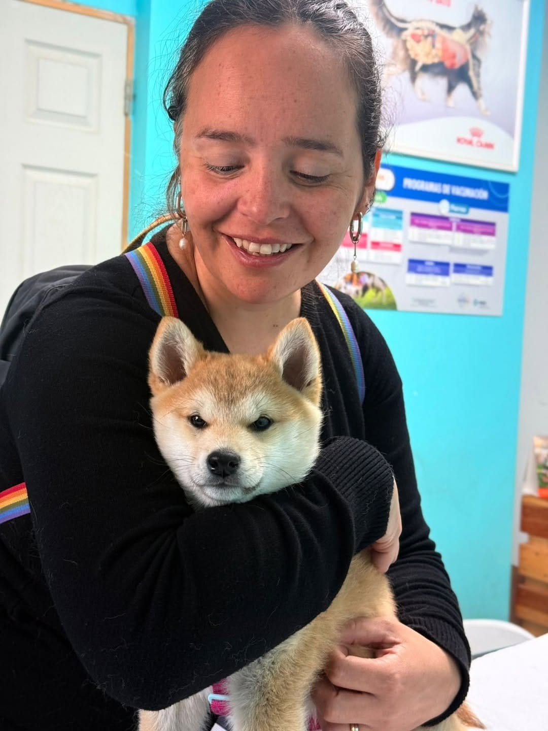 Post 1 by Clínica Veterinaria The Cool Dogs Vet | GuthiVet on Instagram (image)