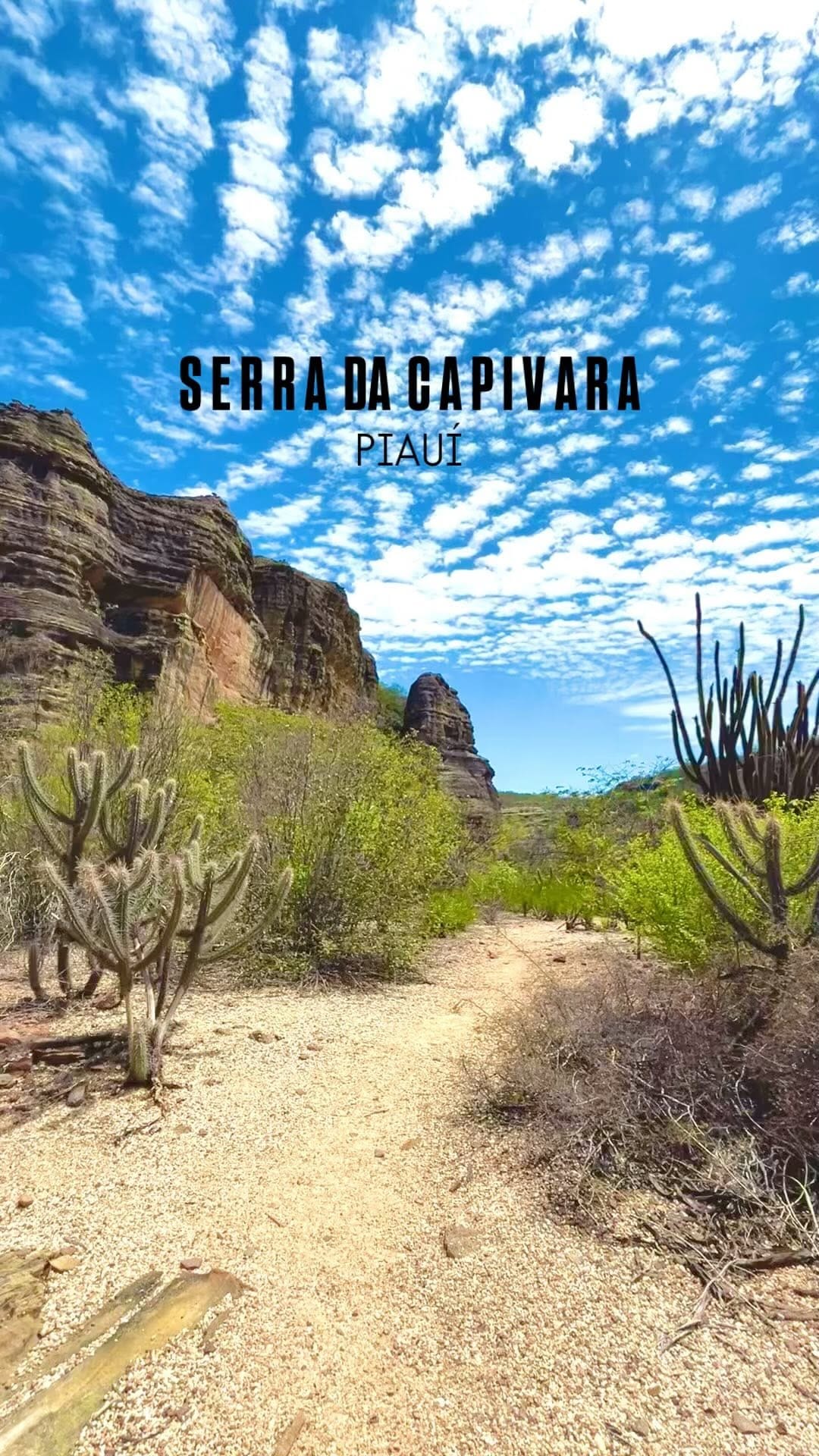 Post 9 by A Serra da Capivara & Ramira on Instagram (video)