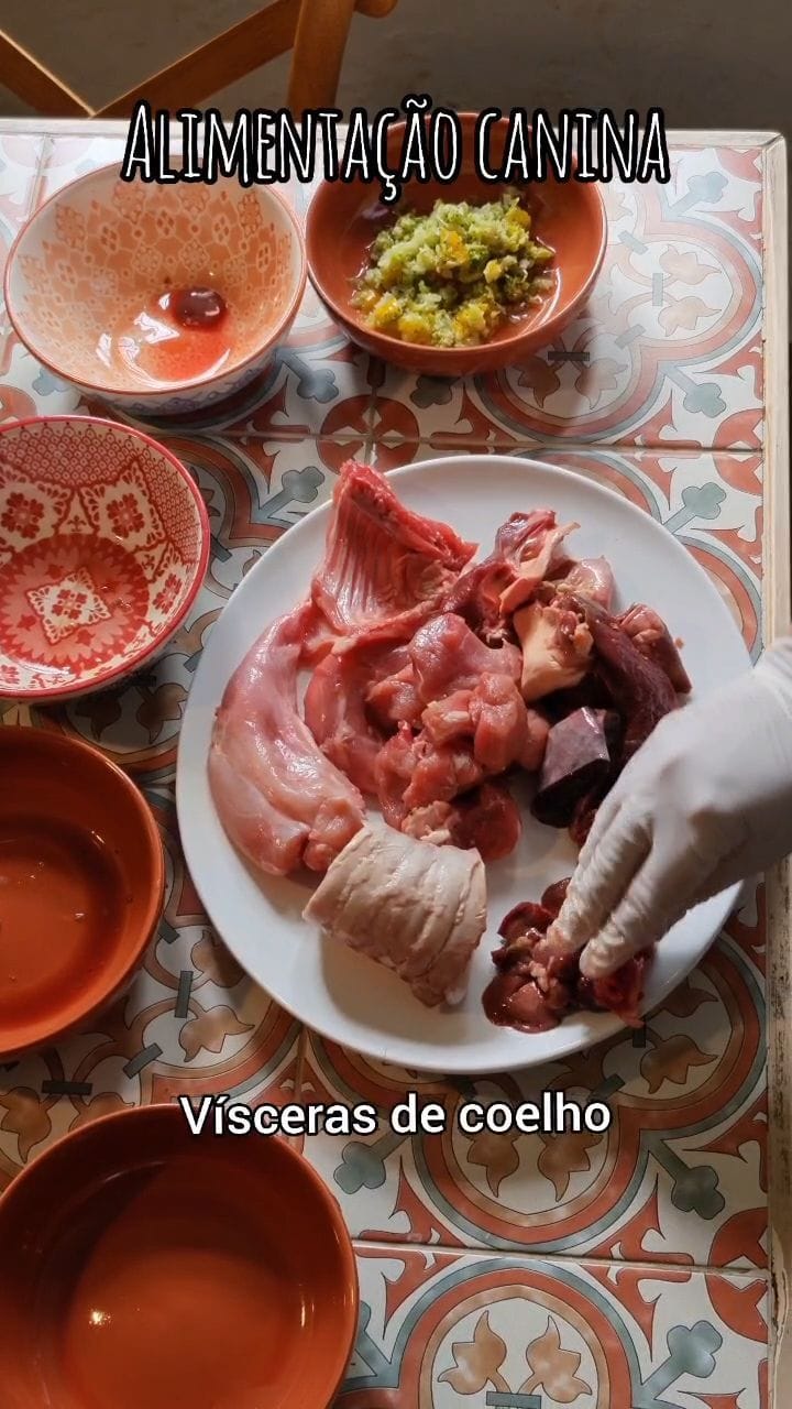 Post 10 by Laika & Nina Golden Girls on Instagram (video)