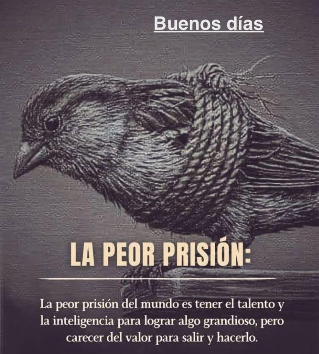 Post 2 by Finanzaspersonalesmexicoymas on Instagram (image)