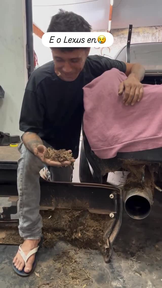 Post 7 by Fast Furiosos on Instagram (video)