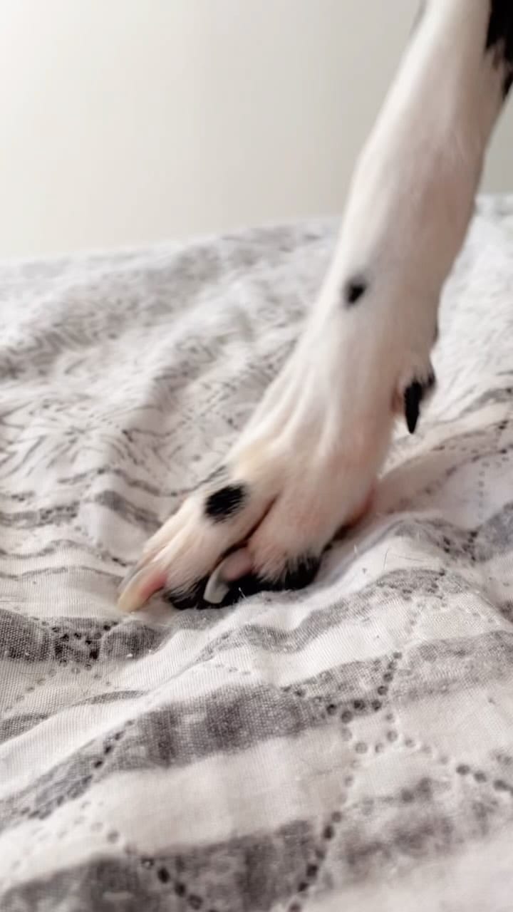 Post 9 by ✨ MAYA ✨ on Instagram (video)