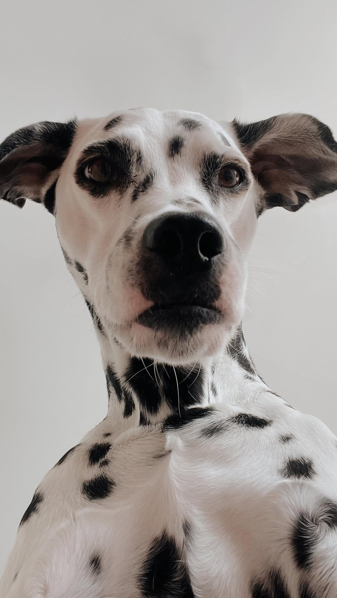 Post 4 by ✨ MAYA ✨ on Instagram (video)
