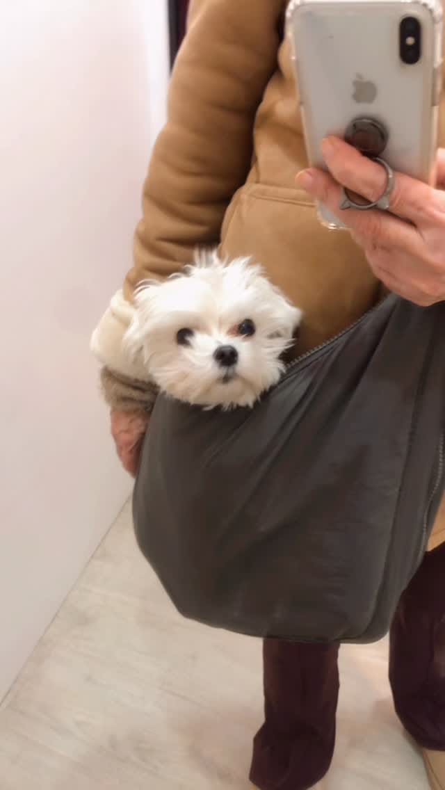 Post 4 by Mr Chuck on Instagram (video)