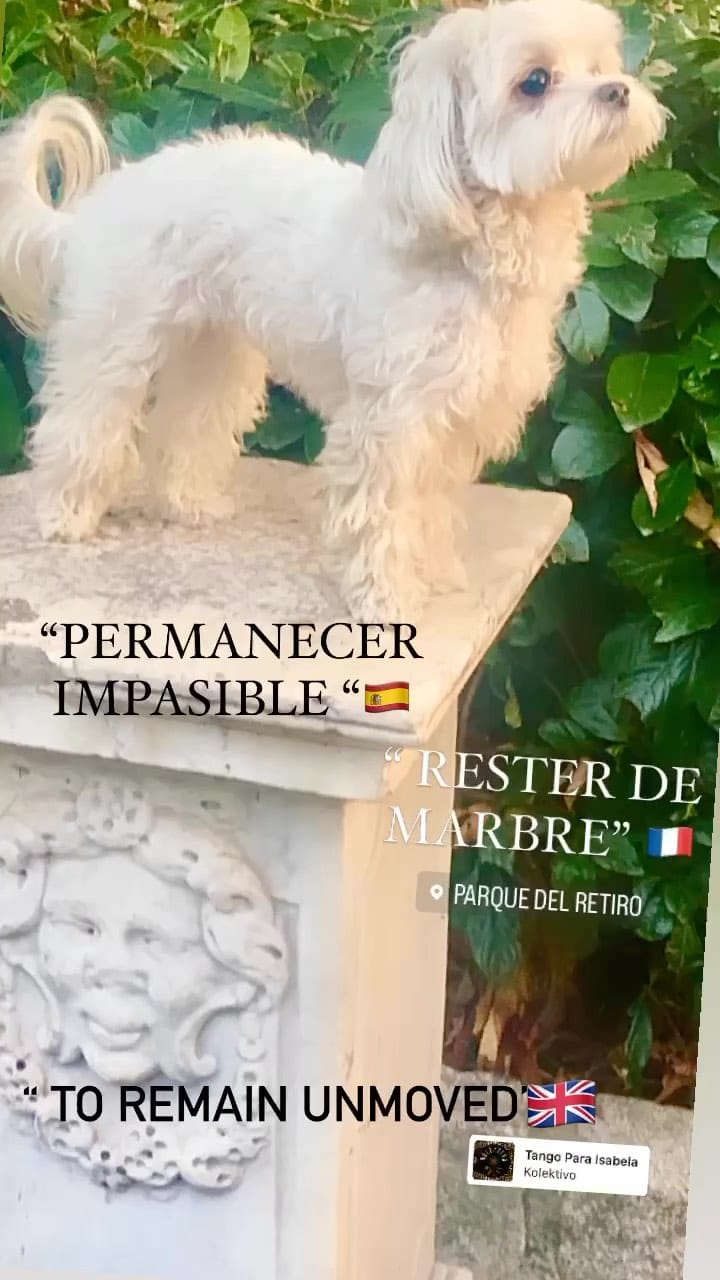 Post 9 by Mr Chuck on Instagram (video)