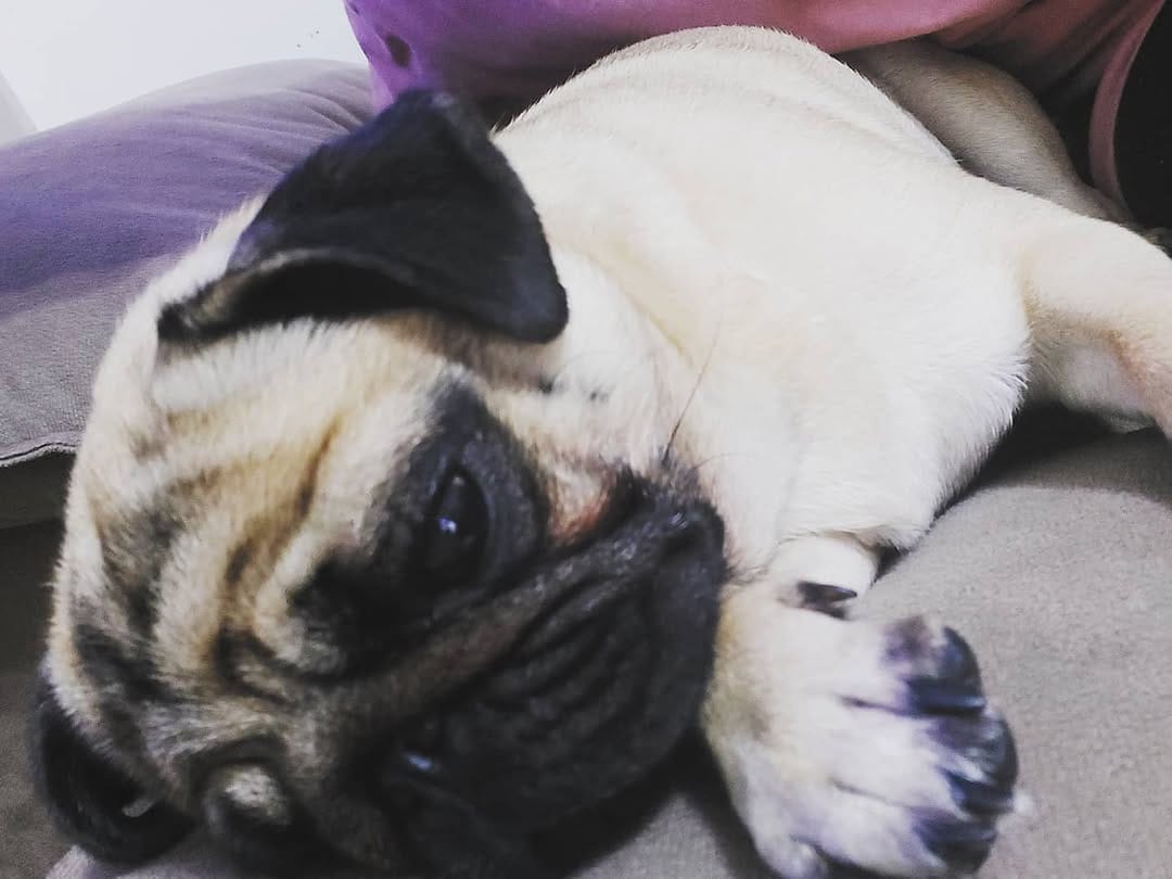 Post 7 by Maitê Alves Cardoso on Instagram (image)