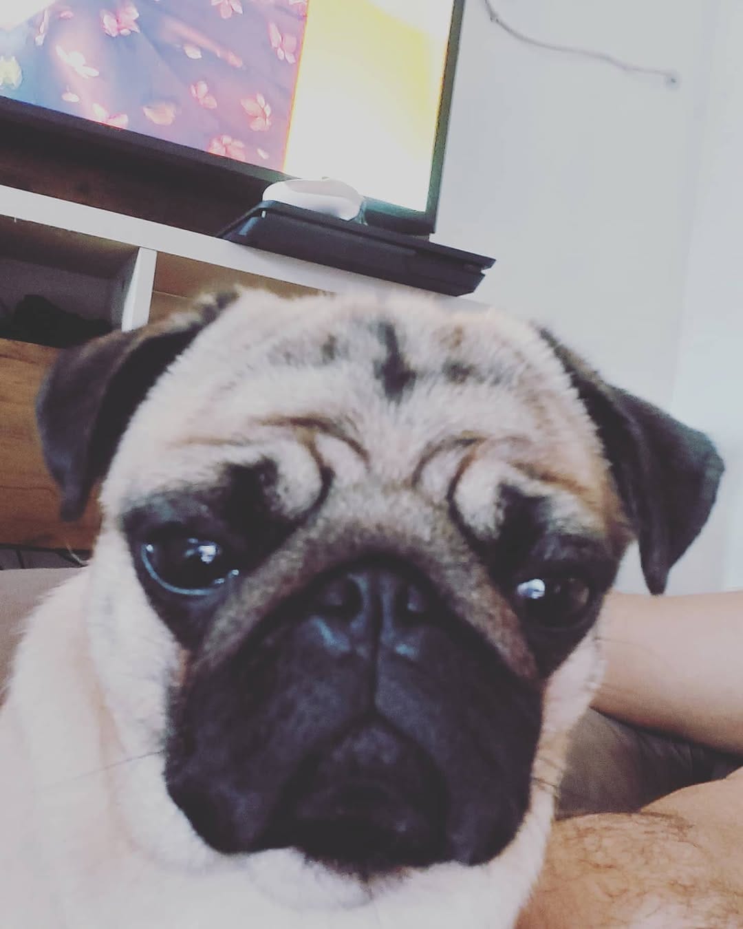 Post 8 by Maitê Alves Cardoso on Instagram (image)