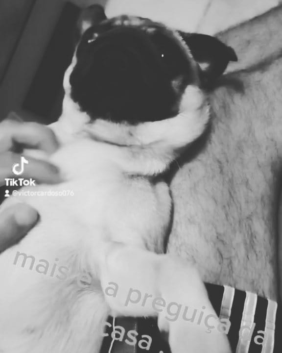 Post 6 by Maitê Alves Cardoso on Instagram (video)