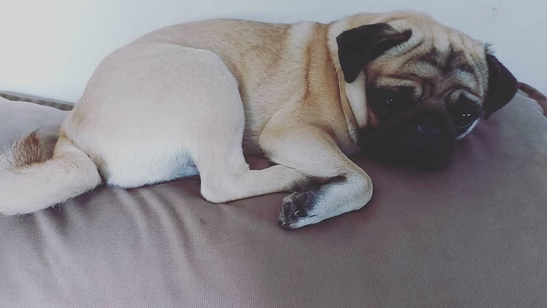 Post 5 by Maitê Alves Cardoso on Instagram (image)