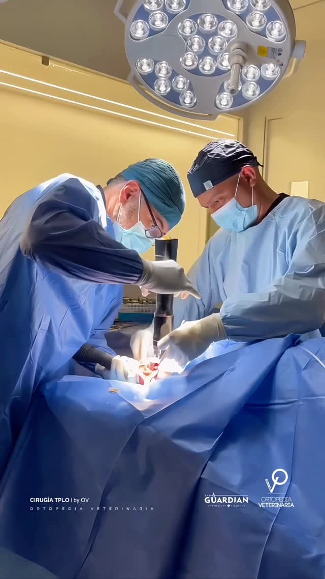 Post 5 by Dr. Beremiz Sánchez Salazar on Instagram (video)