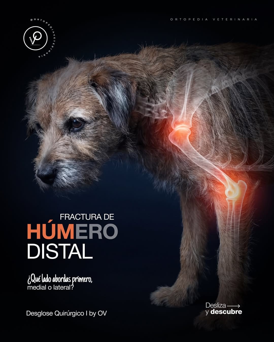 Post 1 by Dr. Beremiz Sánchez Salazar on Instagram (carousel)
