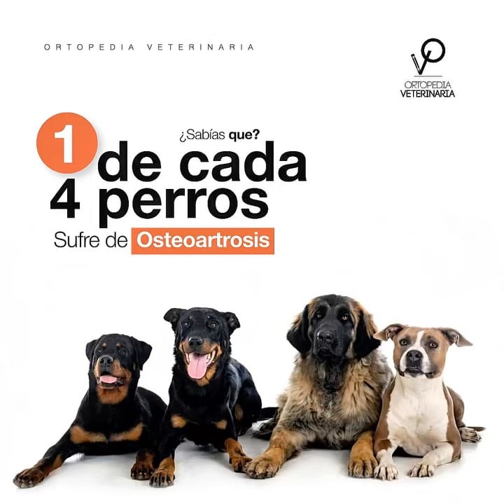Post 8 by Dr. Beremiz Sánchez Salazar on Instagram (carousel)