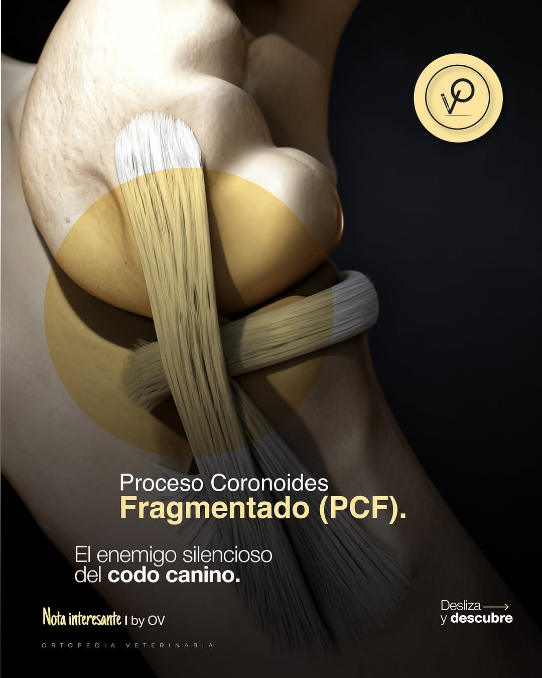 Post 6 by Dr. Beremiz Sánchez Salazar on Instagram (carousel)