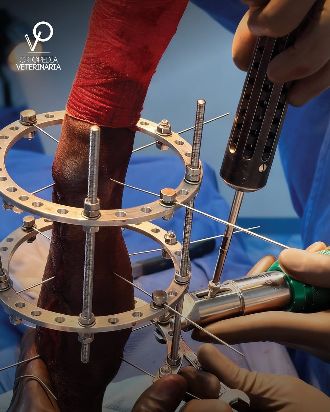 Post 7 by Dr. Beremiz Sánchez Salazar on Instagram (carousel)
