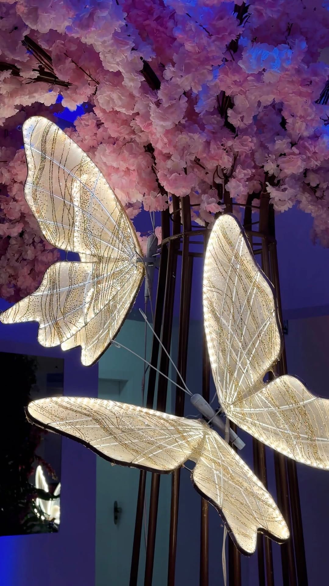 Post 2 by Maison Carlos Gomes Eventos on Instagram (video)