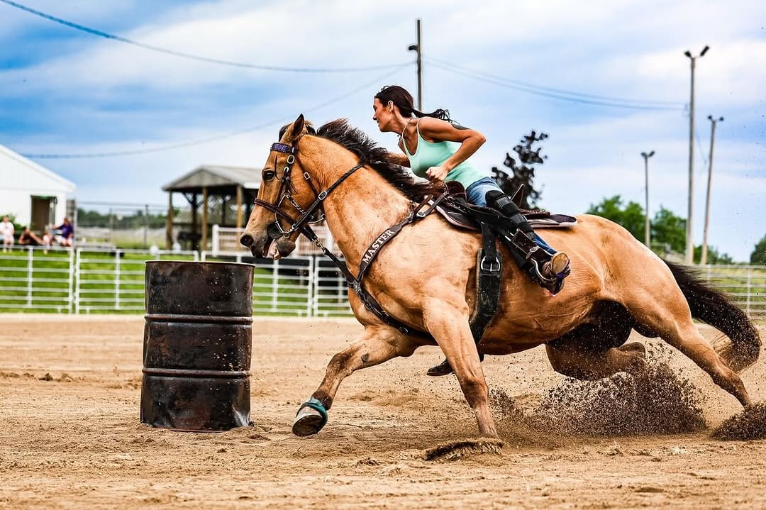 Post 2 by Master Saddles on Instagram (carousel)