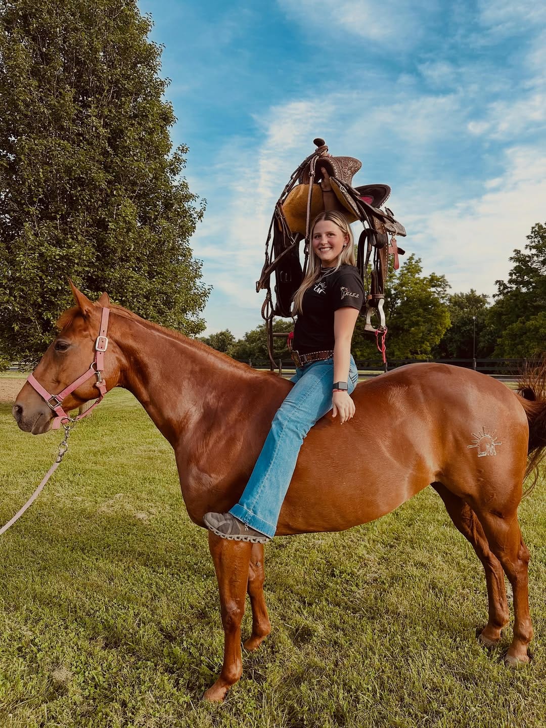 Post 3 by Master Saddles on Instagram (image)