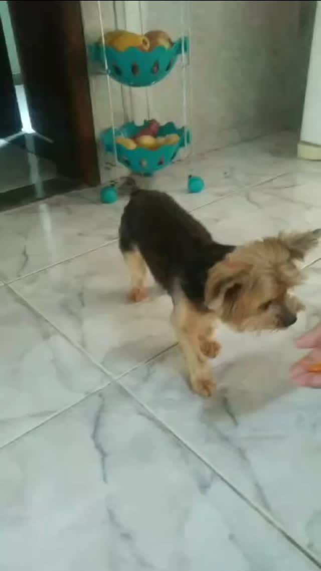 Post 8 by Jade Trindade on Instagram (video)
