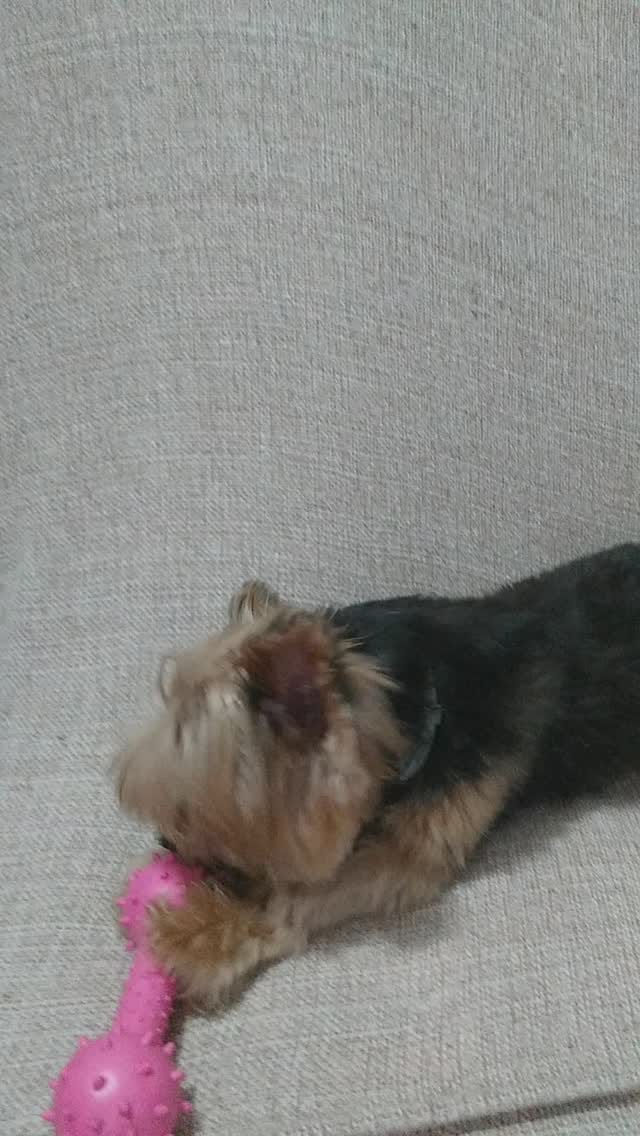 Post 7 by Jade Trindade on Instagram (video)