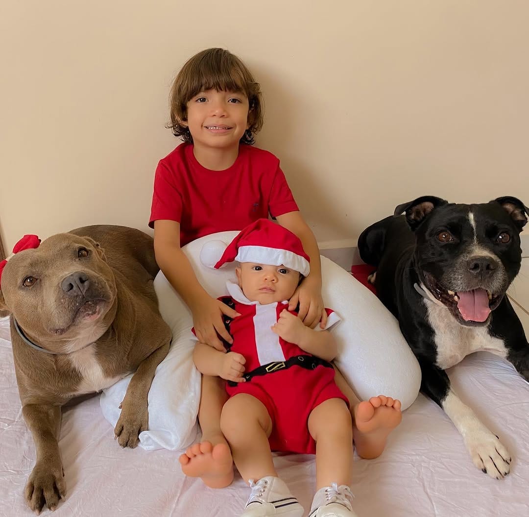 Post 3 by Fred&Frida Staffbull on Instagram (carousel)