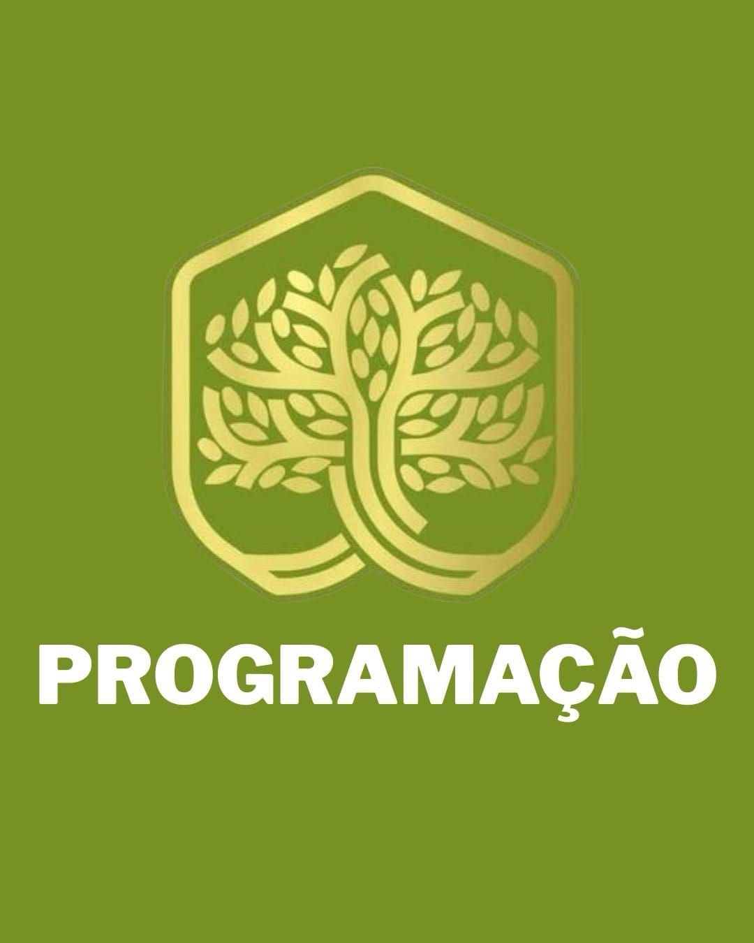 Post 8 by Igreja ADC Goiânia - PERFIL OFICIAL on Instagram (carousel)
