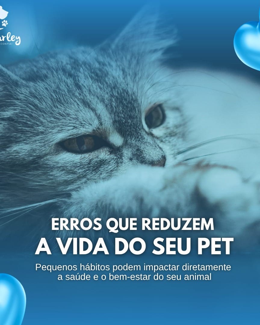 Post 7 by Charley Leandro | Médico Veterinário - Maceió on Instagram (carousel)