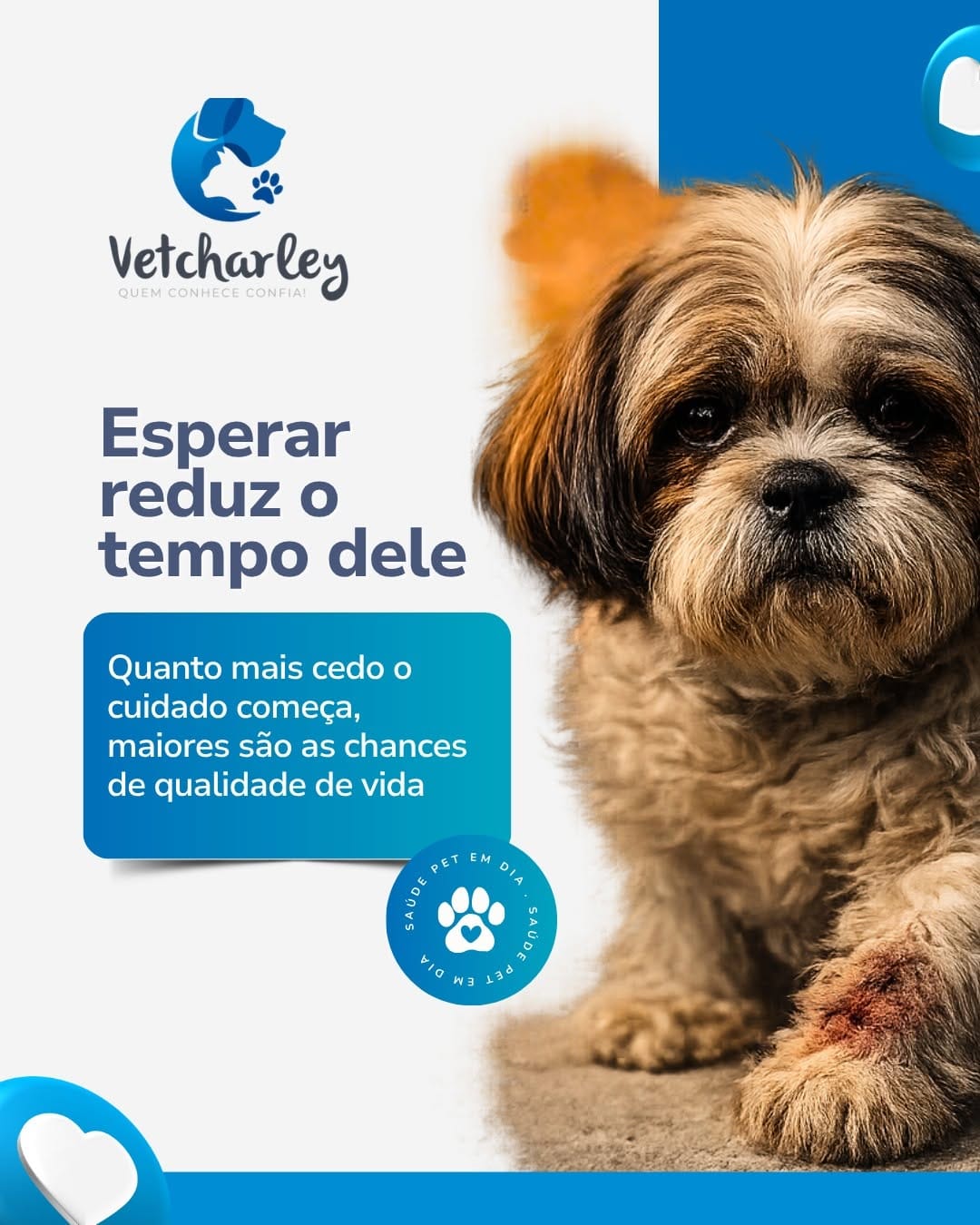 Post 5 by Charley Leandro | Médico Veterinário - Maceió on Instagram (carousel)