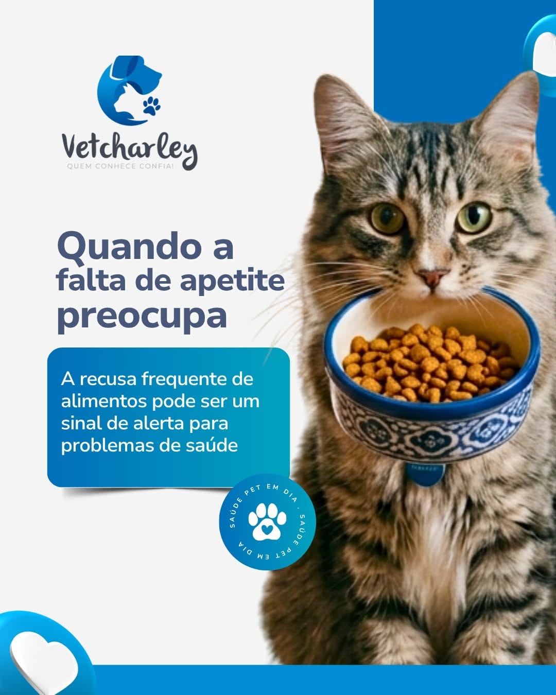 Post 1 by Charley Leandro | Médico Veterinário - Maceió on Instagram (carousel)