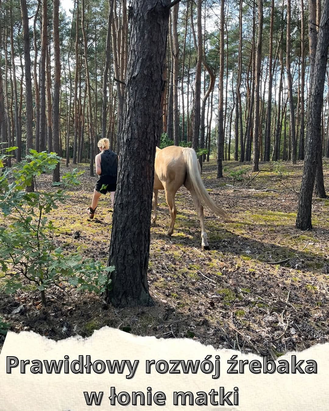 Post 7 by Natalia Dziewulska on Instagram (image)