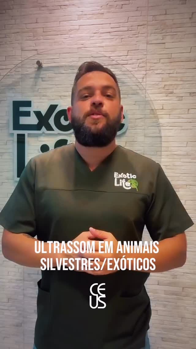Post 4 by Matheus Rabello Krüger on Instagram (video)