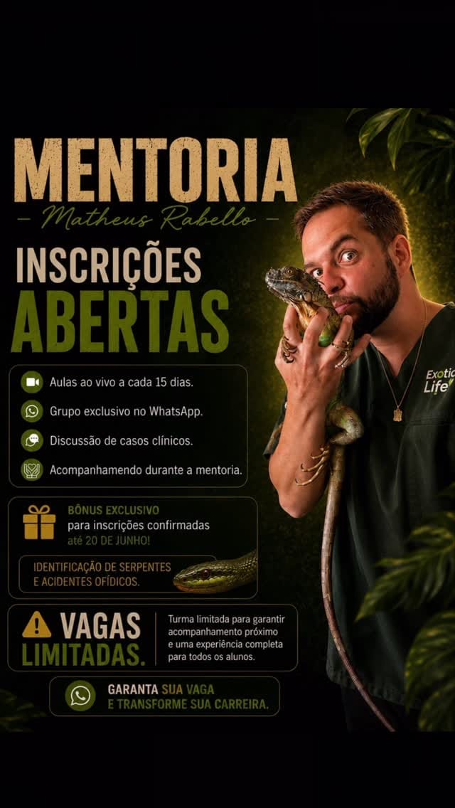 Post 1 by Matheus Rabello Krüger on Instagram (video)