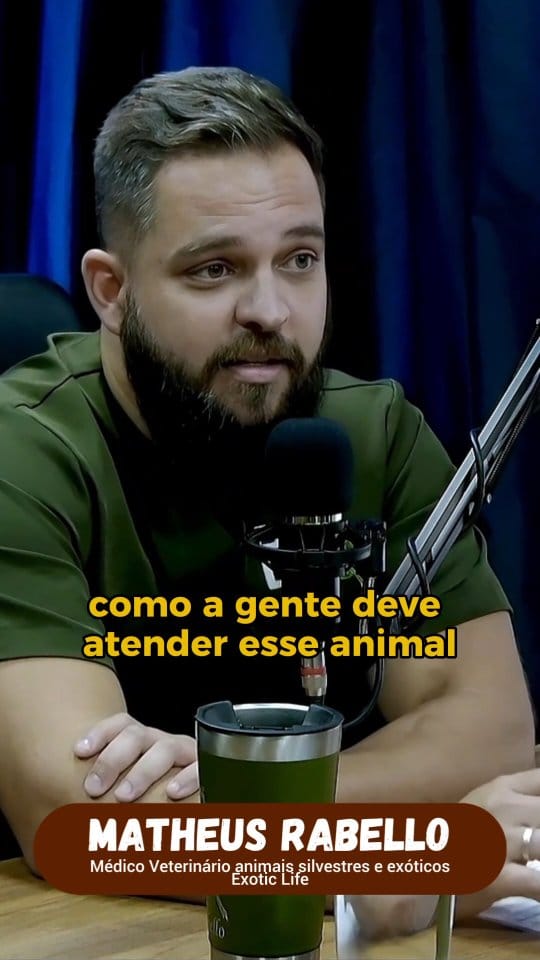 Post 6 by Matheus Rabello Krüger on Instagram (video)