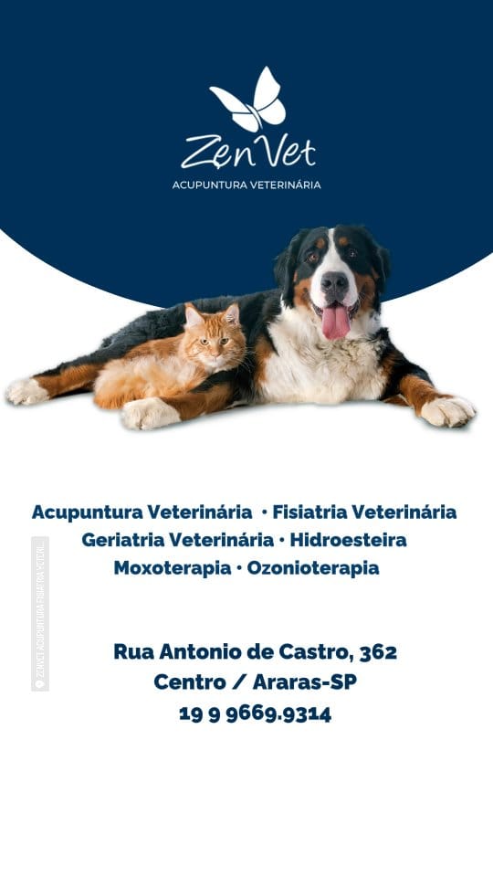 Post 9 by Zenvet Reabilitação Animal on Instagram (video)